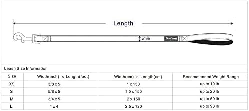 Поводок для собак с двойной ручкой, 5 футов (3/4 дюйма) — прочный и комфортный нейлоновый материал Blueberry Pet
