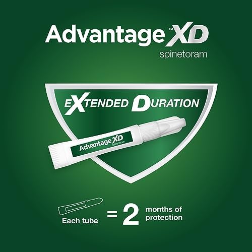 Средство от блох для кошек Advantage XD — 1 доза, 2 месяца защиты для кошек 0,8-4 кг Advantage