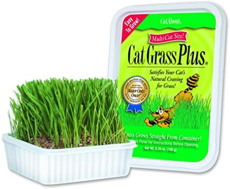 Пасты для вывода шерсти для кошек, Комплект Cat Grass с семенами и грунтом, 150 г Miracle Care