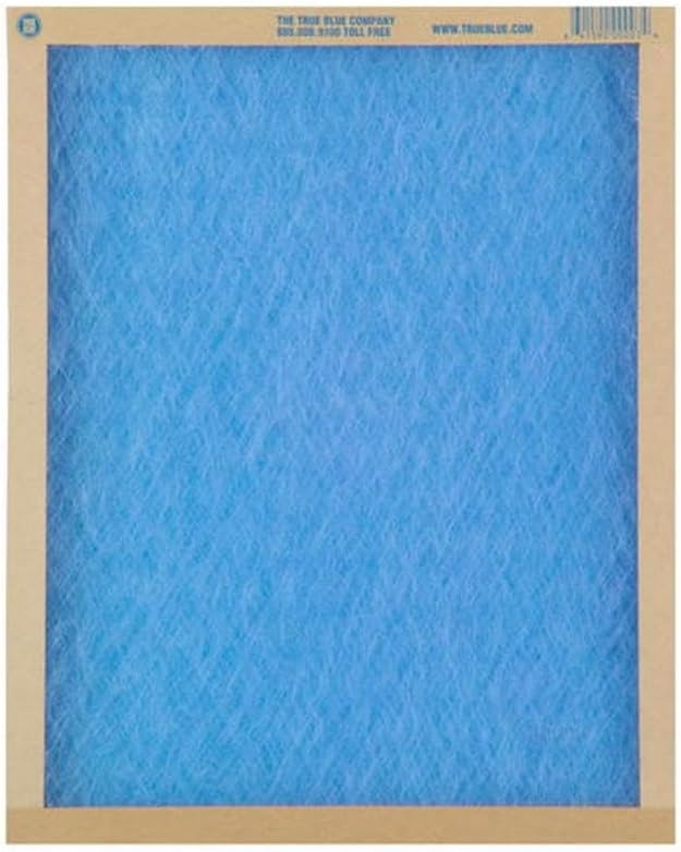 24x24x1, Protect Plus Air Filter, MERV 3 True Blue