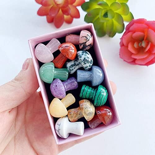 TEAMWILL 12pcs Natural Crystal Mini Mushroom Energy Gem Stone Mineral Collection Gift With Box TEAMWILL