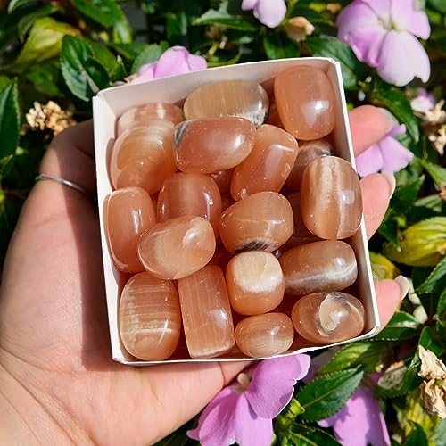 Pachamama Essentials Orange Calcite Tumbled - Healing Stone - Crystal Healing 20-25mm (1) Pachamama Essentials