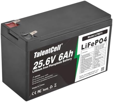 Talentcell 24V 6Ah LiFePO4 Battery Pack LF8011, 25.6V 153.6Wh Deep Cycle Rechargeable Lithium Iron Phosphate Batteries Talentcell