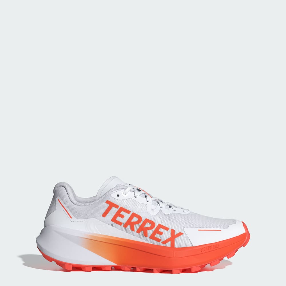 Мужская Спортивная обувь Adidas TERREX Agravic 3 Adidas TERREX