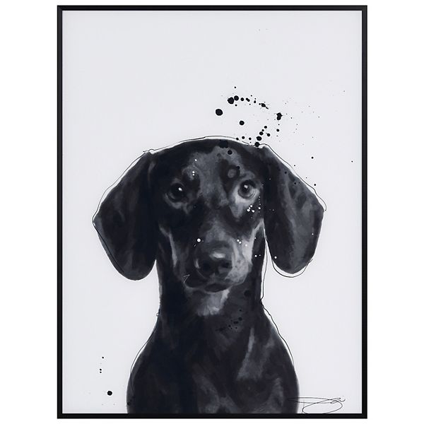 Empire Art Direct Dachshund Framed Wall Art Empire Art Direct