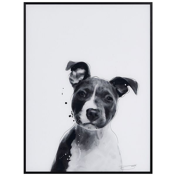 Empire Art Direct Pitbull Framed Wall Art Empire Art Direct