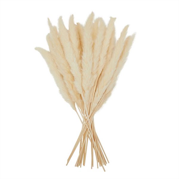 White Pompass Grass Branches for Vase, Modern Home Decor (17 In, 30 Pack) Okuna Outpost