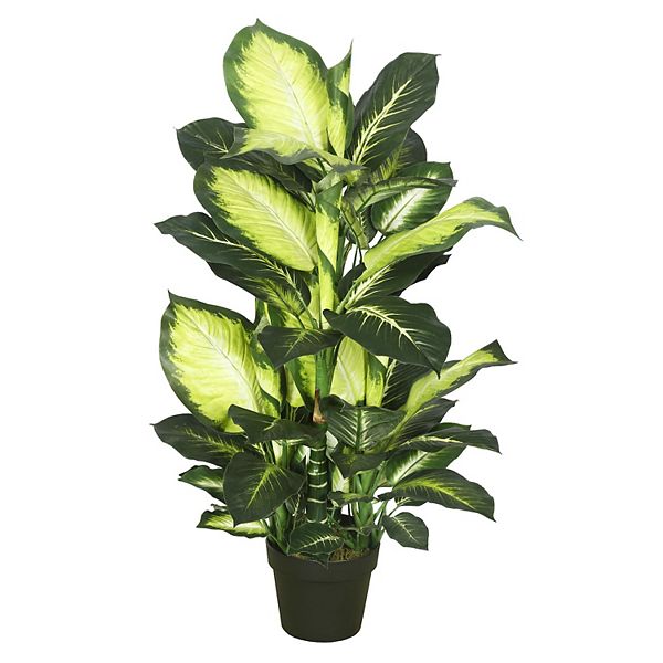 Vickerman 40" Artificial Green and White Dieffenbachia Plant Vickerman