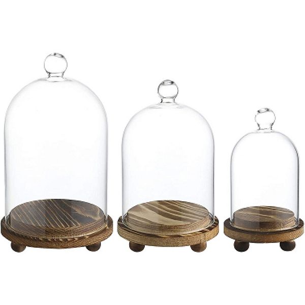 Mini Cloche Glass Dome With Wooden Base Set Of 3 Whole Housewares