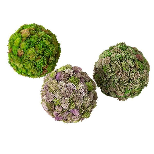 Sullivan's 3-pc. Colorful Sedum Orb Artificial Plant Set Sullivan's