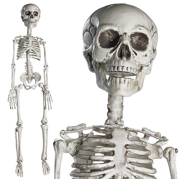 Prextex Plastic Skeleton With Movable Joints, Best Halloween Skeleton Decoration Prextex