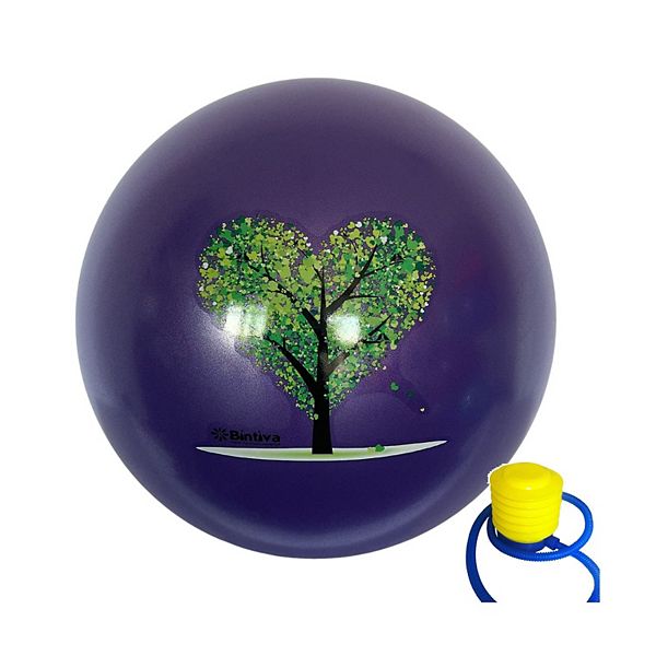 Bintiva Stability Ball With Stabilizing Sand 55cm Bintiva