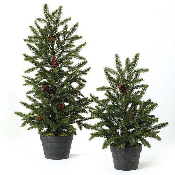 Haven Living 36" & 24" Artificial Pine Tree with Pinecones Set of 2 Haven Living