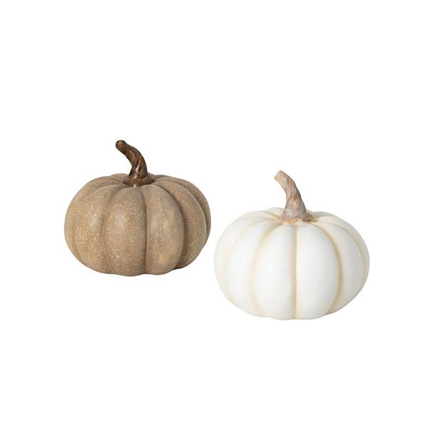 Haven Living 2-Piece Neutral Pumpkin Table Decor Set Haven Living