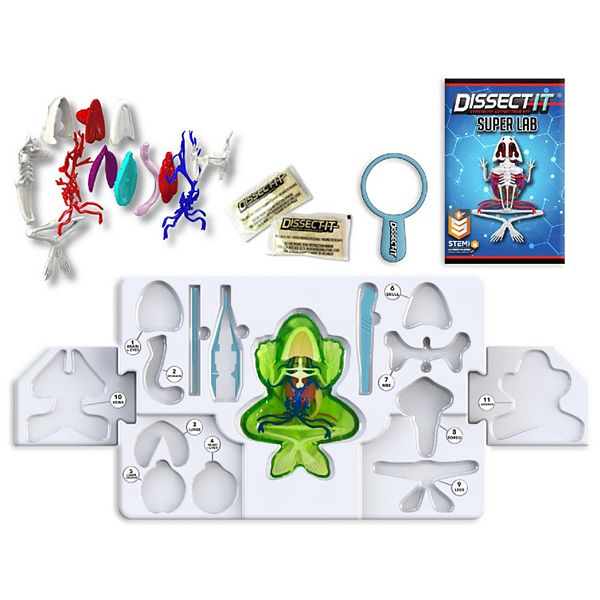 Top Secret Toys Dissect-It: Deluxe Super Frog Lab - Synthetic Dissection Kit, STEM Learning Guide Top Secret Toys