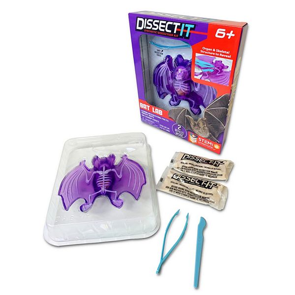 Top Secret Toys Dissect-It: Bat Lab - Synthetic Dissection Kit, Realistic & Safe, STEM Top Secret Toys