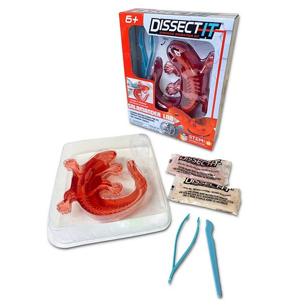 Top Secret Toys Dissect-It: Salamander Lab - Synthetic Dissection Kit STEM Learning Guide Top Secret Toys