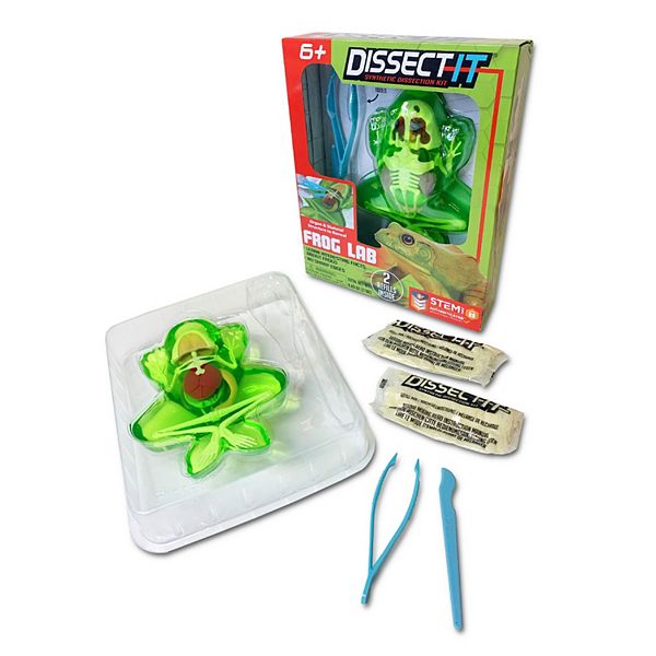 Top Secret Toys Dissect-It: Frog Lab - Synthetic Dissection Kit, Realistic & Safe, STEM Top Secret Toys