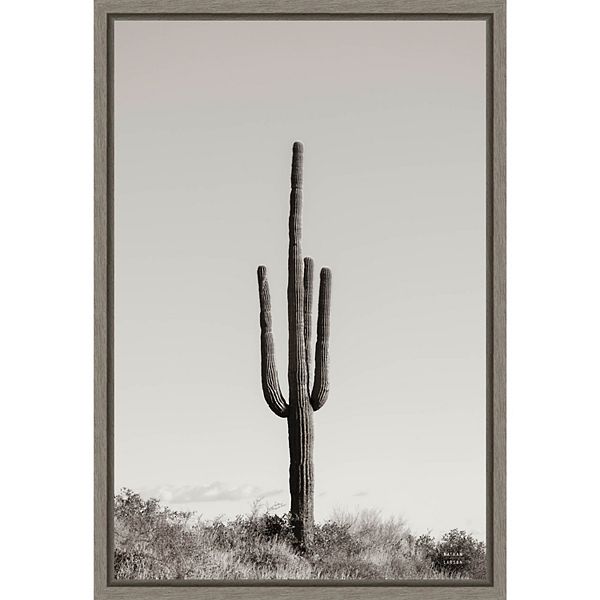 Amanti Art Saguaro Afternoon Framed Canvas Wall Art Amanti Art