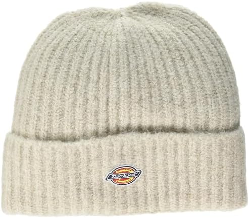 Dickies mens Brewton Beanie Dickies