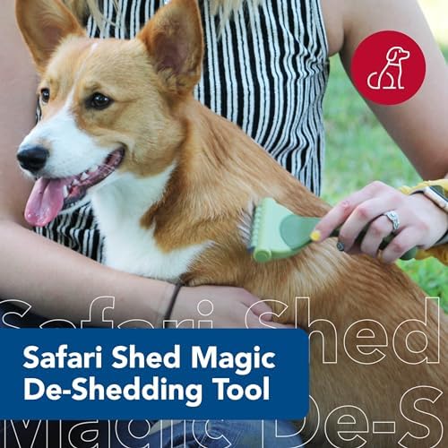 Coastal Pet Safari Shed Magic Deshedding Tool for Dogs with Medium to Long Hair - Deshedding & Detangling Dog Brush - Large Coastal