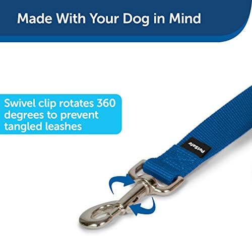 PetSafe Nylon Dog Leash – Strong, Durable, Traditional Style Leash with Easy to Use Bolt Snap – 3/4" x 4', Royal Blue PetSafe