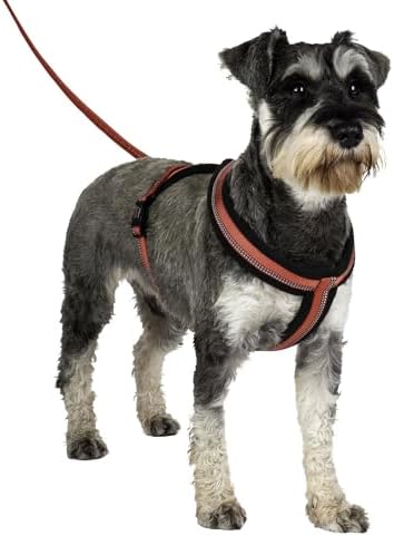 HALTI Comfy Harness - Lightweight, Fleece-Lined, Reflective & Adjustable Dog Harness, Front & Back Ring for a Dog Leash, Great for Puppy Walks. Suitable for Small Dogs and Puppies (Size X-Small) Company of Animals