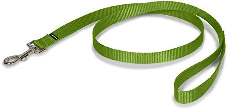 PetSafe Nylon Dog Leash – Strong, Durable, Traditional Style Leash with Easy to Use Bolt Snap – 3/4" x 6', Apple Green PetSafe