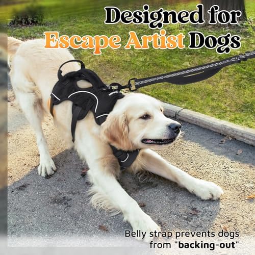 rabbitgoo Escape Proof Dog Harness, Soft Padded Full Body Pet Harness, Reflective Adjustable No Pull Vest with Lift Handle and Leash Clip for Large Dogs Walking Hiking Training, S, Black Rabbitgoo