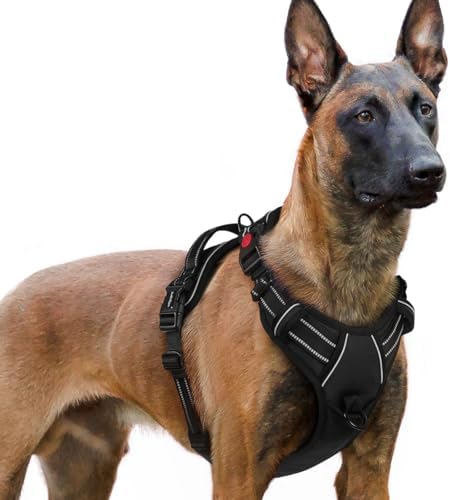 rabbitgoo Dog Harness Small Sized, No Pull Pet Harness with 3 Buckles, Adjustable Soft Padded Dog Vest with Instant Control Handle, Easy Walking Reflective Pet Vest for Small Dogs, Black, S Rabbitgoo