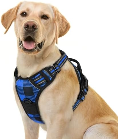 rabbitgoo Dog Harness Small Sized Dog No Pull, Comfortable Padded Plaid Dog Harness with Handle Easy Control, Adjustable Reflective Puppy Pet Harness Vest with 2 Leash Clips, Blue Plaid, S Rabbitgoo