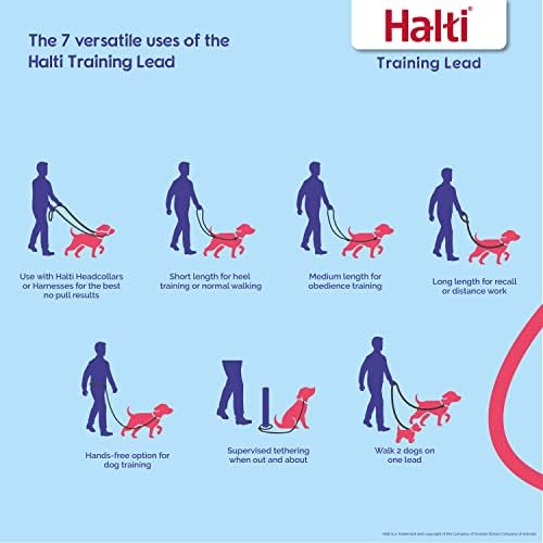 HALTI Training Leash - Multifunctional Double-Ended Dog Leash, Ideal for Anti-Pulling Dog Training. Easy to Use, Lightweight, Soft & Durable. Suitable for Puppies and Small Dogs (Size Small, Black) Company of Animals