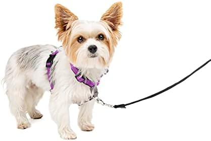 PetSafe 3 in 1 Dog Harness - No Pull Solution for Dogs - Reflective Dog Harness - Front D-Ring Clip Helps Stop Pulling - Comfortable Padded Straps - Top Handle Enhances Control - Black - Extra Small PetSafe