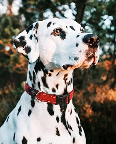 Classic Dog Collar X-Small - Black Rogz