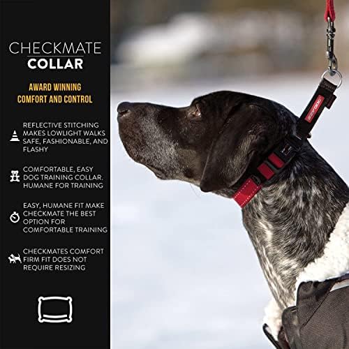 EzyDog Checkmate Martingale-Style Premium Nylon Safety Training and Correction Dog Collar - Quick-Clip Buckle and Reflective Stitching - Easy Control with no Choking Effect (Small, Black) EzyDog