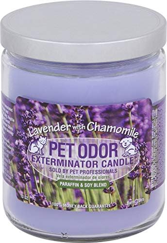 Pet Odor Exterminator Specialty Pet Products Candle, Lavender with Chamomile, 13oz - Pack of 2 SPECIALTY PET PRODUCTS