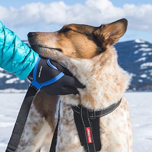 EzyDog Premium Handy Dog Leash - Soft and Secure Neoprene Glove Perfect for Running or Jogging - Add to Any Existing Leash or Combine with an Extension (15”, Black) EzyDog