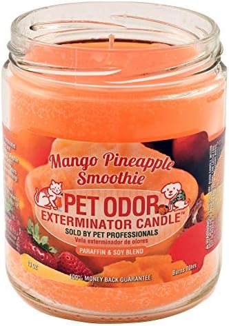 0 Candle Mango Pineapple Smoothie SPECIALTY PET PRODUCTS