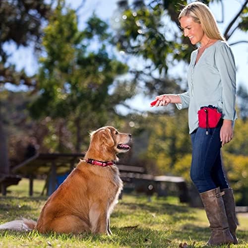 Company of Animals Whizzclick, Clicker and Whistle Combined, Recall and Reward Training, Wrist Strap, For all Dogs Including Sensitive Dogs and Puppies Company of Animals