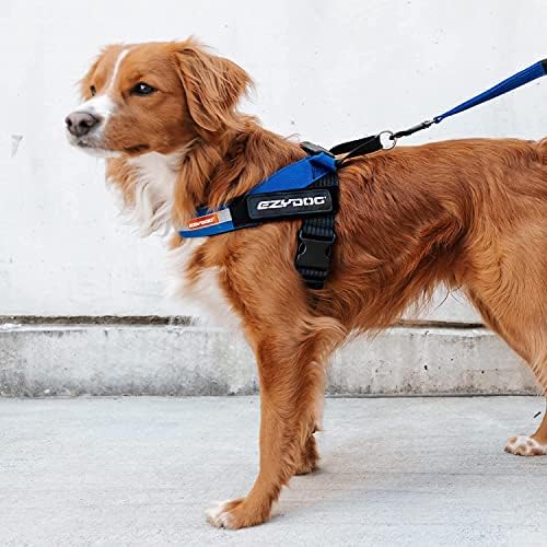 EZYDOG Express Dog Harness | Dog Harness for Small, Medium and Large Dogs, Angled Ergonomic Design, Moulded Grip Handle, Easy Release Side Buckle (XS, Black) EzyDog