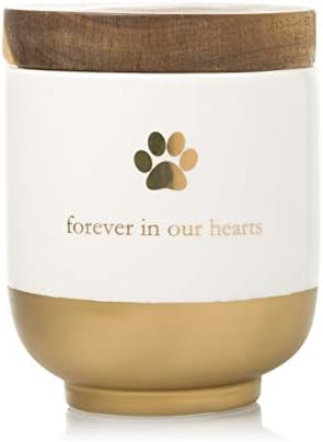 Pearhead Pet Ceramic Forever in Our Hearts Urn, Pet Memorial, Dog Or Cat Keepsake Urn, Rainbow Bridge, Gold Pearhead