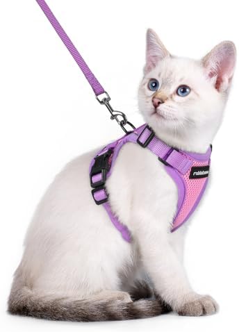 rabbitgoo Cat Harness and Leash Set, Escape Proof Soft Adjustable Vest Harnesses for Outdoor Walking, Easy Control Breathable Kitten Jacket with Reflective Strips, Green & Pink, XXS Rabbitgoo