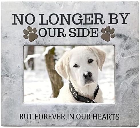 BANBERRY DESIGNS Pet Memorial Gift Picture Frame - No Longer By Our Side Forever in Our Hearts Plaque - Loss of a Dog or Cat- Paw Prints - Holds a 4" X 6" Photo BANBERRY DESIGNS