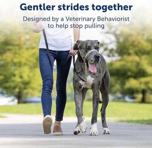 PetSafe Gentle Leader No-Pull Dog Headcollar - The Ultimate Solution to Pulling - Redirects Your Dog's Pulling for Easier Walks - Helps You Regain Control - Petite, Black PetSafe