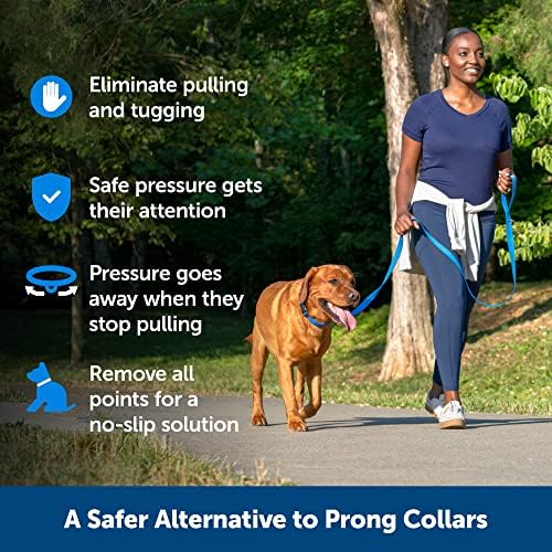 PetSafe Soft Point Training Collar - Helps Stop Pulling - Safer Than Prong or Choke Collars - Teaches Better Leash Manners - No Pull Training Collar with Rubber Points for Dogs - Medium, Black PetSafe