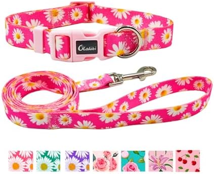 Dog Collar and Leash Set, Cherry Pattern, Polyester Material, 5ft Leash, for Puppy Dogs.(Extra Small,Pink Cherry) Olahibi