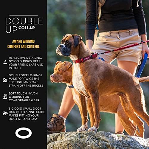 EzyDog Double Up Premium Nylon Dog Collar with Reflective Stitching - Double D-Rings for Superior Strength, Safety, and Comfortability - Non-Rusting and Includes an ID Attachment (Small, Black) EzyDog