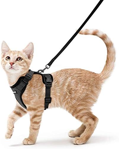 rabbitgoo Cat Harness and Leash for Walking, Escape Proof Soft Adjustable Vest Harnesses for Cats, Easy Control Breathable Reflective Strips Jacket, Black, XS Rabbitgoo