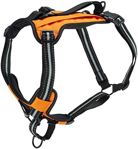 PetSafe Walk-Along Outdoor Dog Harness, No-Pull Solution, Water-Resistant, Zippered Pouch for Storage, Built-in Car Restraint, Large PetSafe