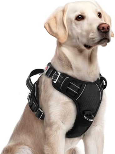 rabbitgoo Dog Harness Small Sized, No Pull Dog Vest Harness with 3 Buckles, Adjustable Soft Padded Pet Harness with Easy Control Handle and Reflective Strips, Black, S Rabbitgoo